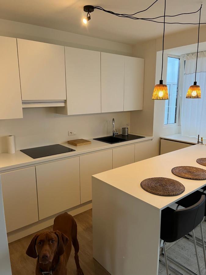 Penthouse Mathilde Daire Oostende Dış mekan fotoğraf